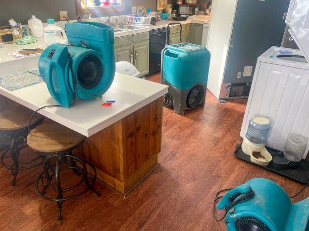 Best Local water damage restoration  in Aumsville, OR