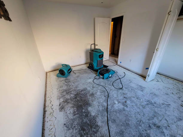 Best Mold removal after water damage  in Aumsville, OR