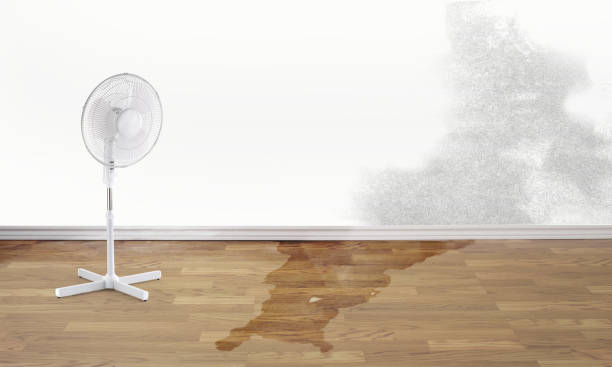 Fire Damage Restoration in Aumsville, OR