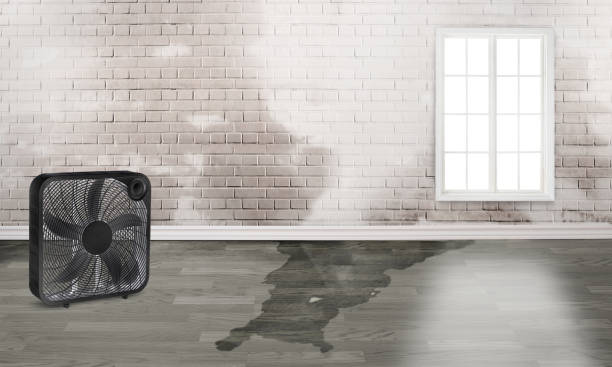 Best Emergency water damage restoration  in Aumsville, OR