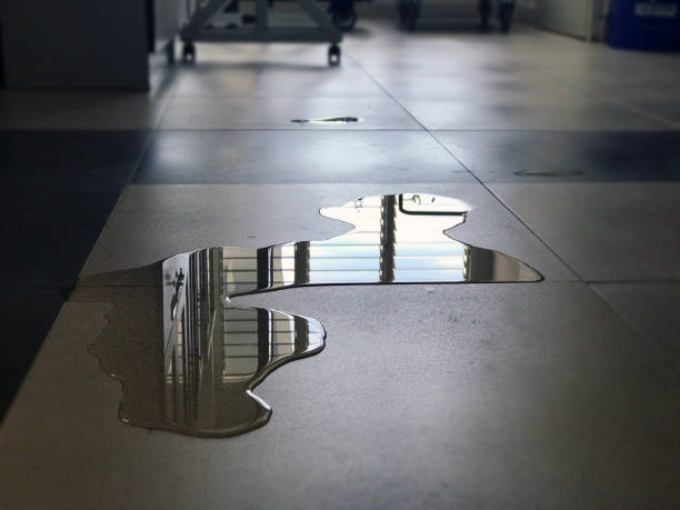 Best Water damage restoration near me  in Aumsville, OR