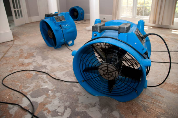 Best Basement water damage restoration  in Aumsville, OR
