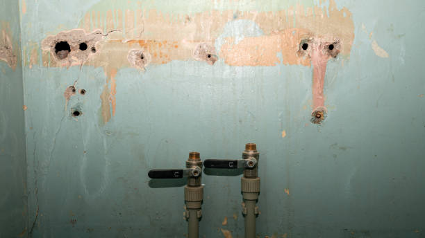 Best Carpet water damage restoration  in Aumsville, OR