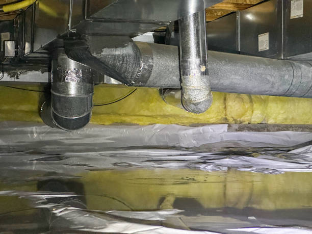 Best Mold removal after water damage  in Aumsville, OR